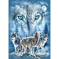 Kit de pintura de diamantes 5D para manualidades-DIY pintura al oleo por numeros diseño de lobo y diamantes de imitación…